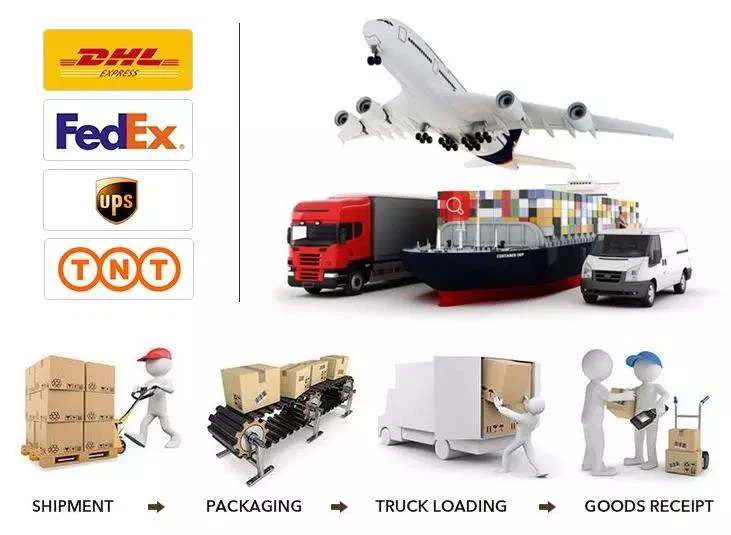 Square Lady Silk Scarf